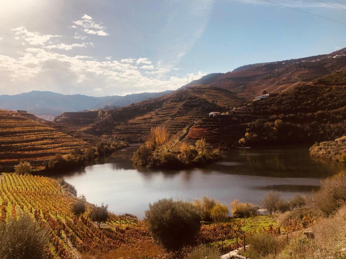 Castas Do Douro Βίλα Tabuaço Εξωτερικό φωτογραφία
